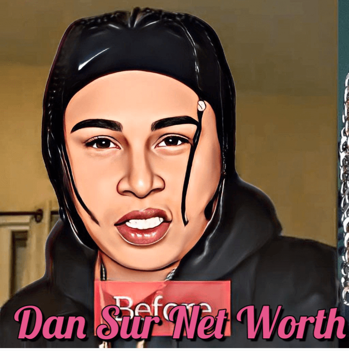 Dan Sur Net Worth