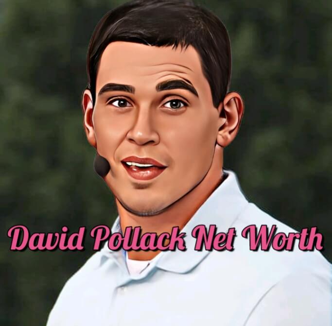 David Pollack Net Worth