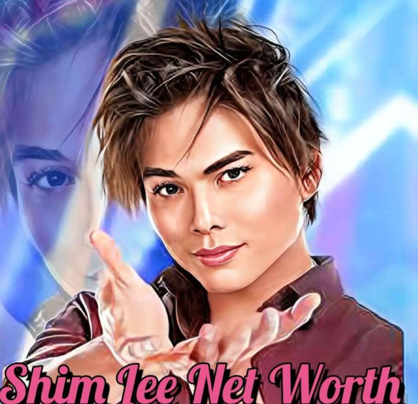Shim Lee Net Worth