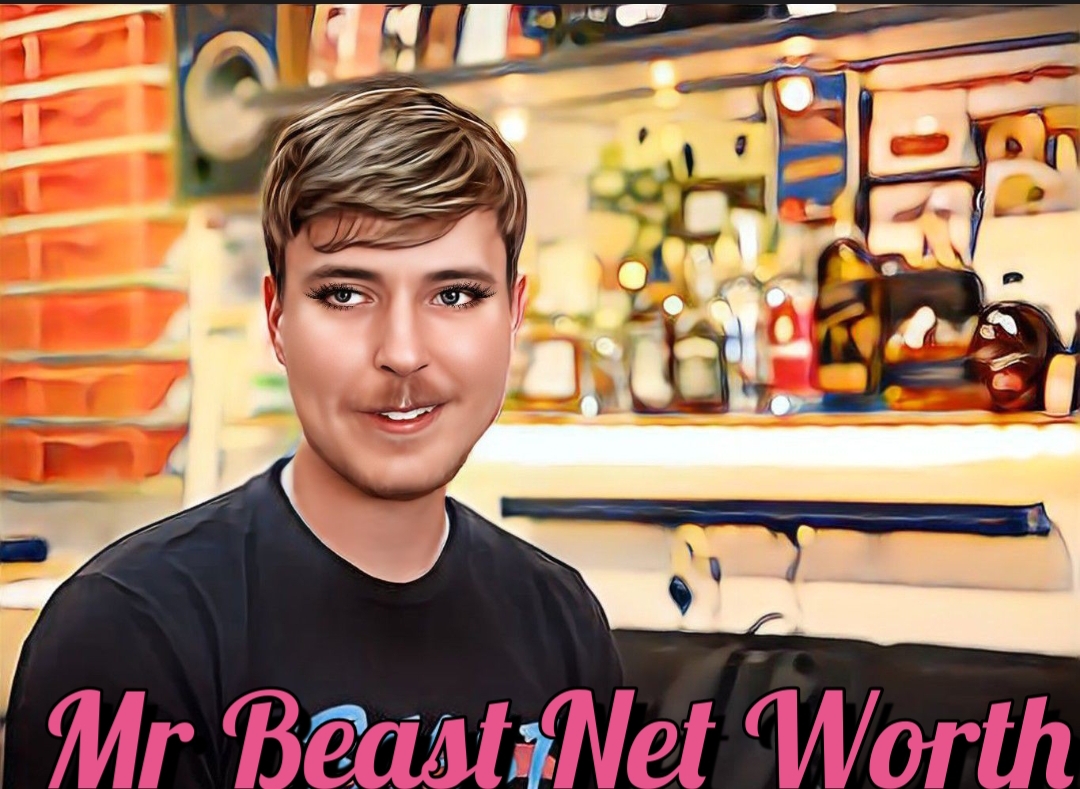 Mr Beast Net Worth