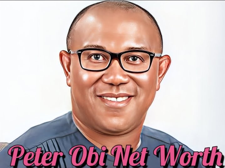Peter Obi Net Worth