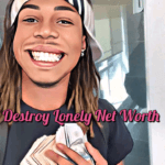 Destroy Lonely Net Worth